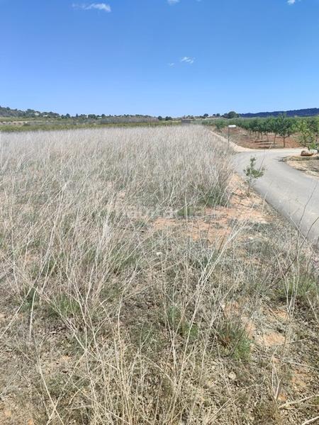 Foto 5654c006-bfd7-4e55-acd2-b3ddc0a55521. Propriété dans Turís