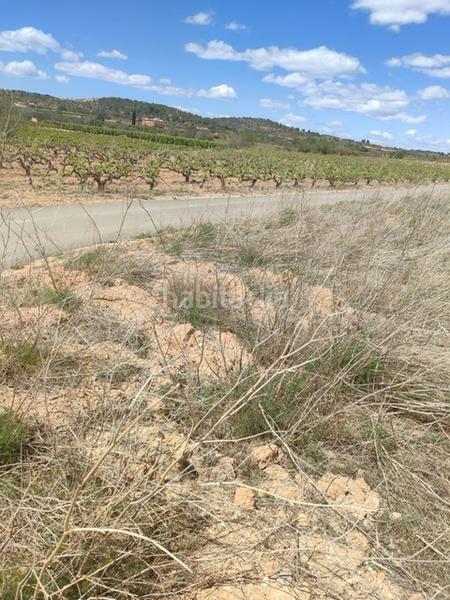 Foto a3f80a68-f76e-4531-b20c-58a6d3562f41. Propriété dans Turís