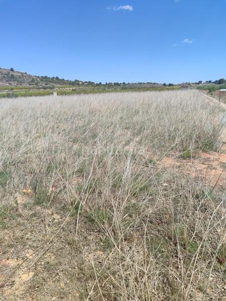 Foto eb1bb4dc-54c0-44e2-8e57-6900430ceb87. Propriété dans Turís