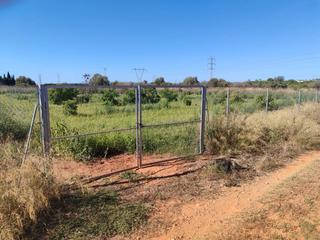 Finca rstica en Avinguda al vedat 86. Parcela rustica en torrent