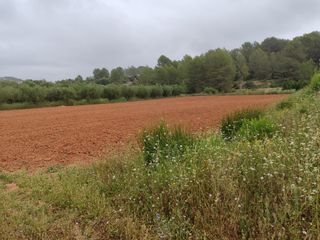 Rural plot in Benigànim. Terreno agricola en venta