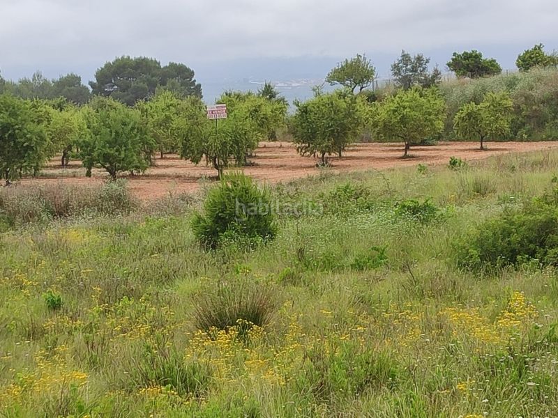 Foto d644af5f-6228-4655-bf77-391a469f1fa0. Finca rústica a Benigànim