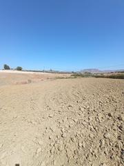 Finca rústica a Centro. Parcela rústica en villafranco del guadalhorce