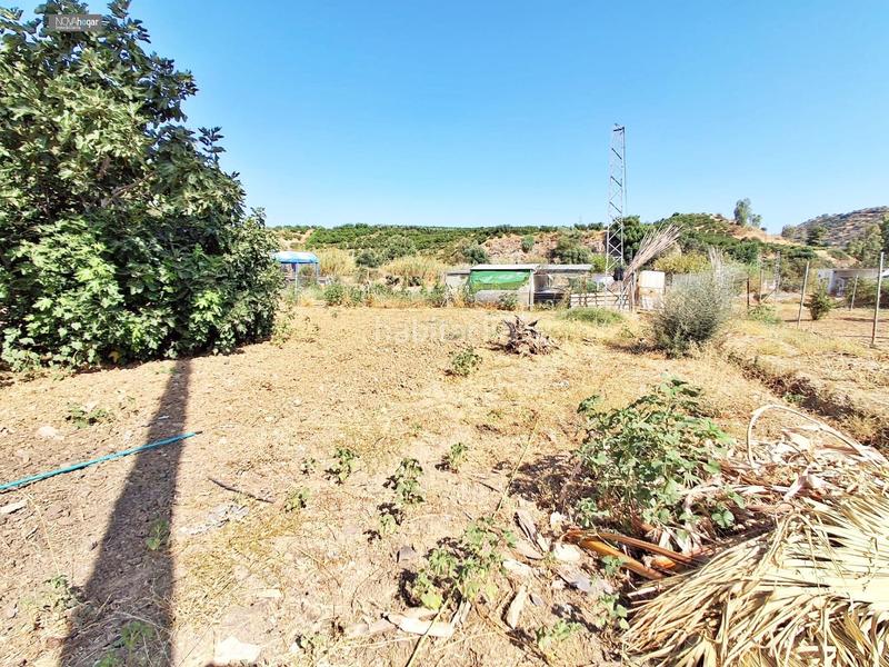 Foto e9657049-b8ab-4376-b7d5-01b36170d596. Masía casa con terreno en zalea en Pizarra