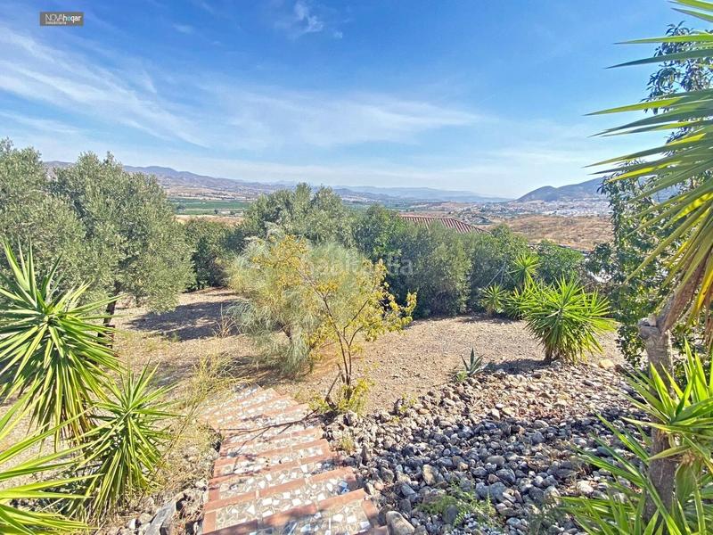 Foto d3e4f418-6dbe-425f-b4d4-e81a90021fc5. Masia a Cártama