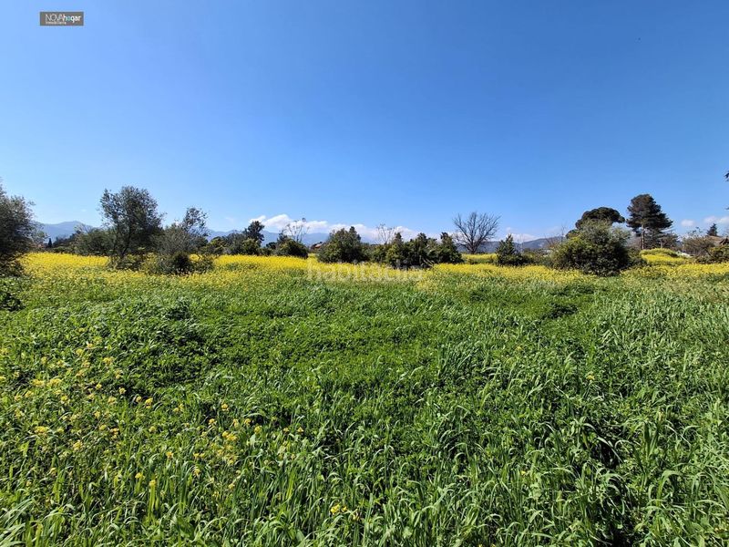 Foto 9f0e0d88-4e96-4571-9f3e-87bf3e98b0e8. Finca rústica a Campanillas Málaga