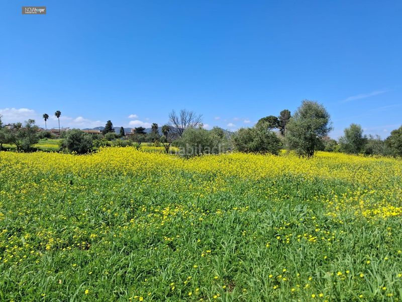 Foto a88b86dd-aa5d-46a7-b311-bb05eecbe75e. Finca rústica a Campanillas Málaga
