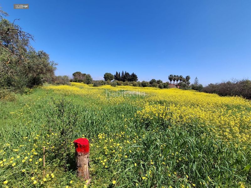 Foto d360de47-5b02-4cd1-87f8-f002569946ed. Finca rústica a Campanillas Málaga