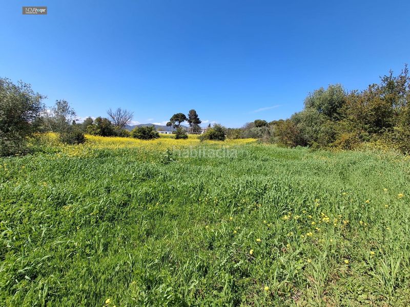 Foto d4961a37-afbd-44a1-8d55-5a44da3533e3. Finca rústica a Campanillas Málaga