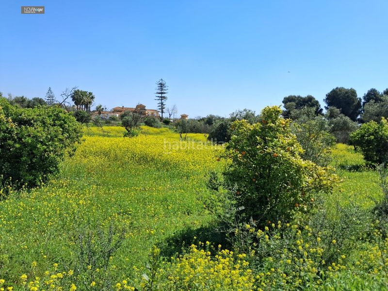 Foto eefb6d82-ddc8-4bd5-b544-bd9b7ee2e33e. Finca rústica a Campanillas Málaga