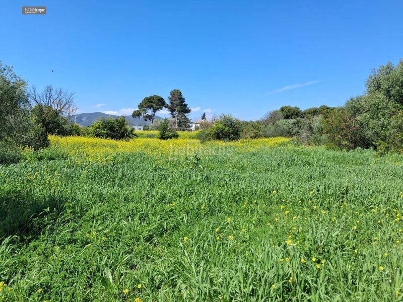 Foto f8fefb88-9b5f-47f9-b8a5-7df62915f877. Finca rústica a Campanillas Málaga