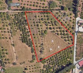 Finca r�stica en Campanillas. Excelente terreno r�stico en campanillas