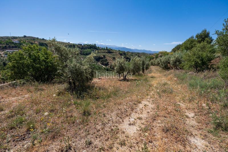 Foto 65970576-484b-4a04-8c41-e125847867f8. Finca rústica a Víznar