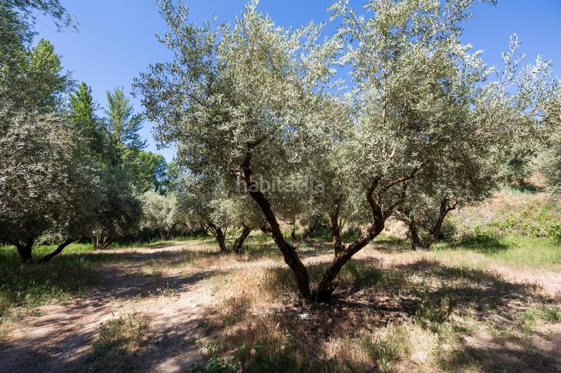 Foto 79de7fd2-87ef-45ac-9cd9-c6574ce0c884. Finca rústica a Víznar