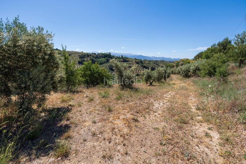 Foto b3779732-66cc-4a7d-be70-d7d740ac30df. Finca rústica a Víznar