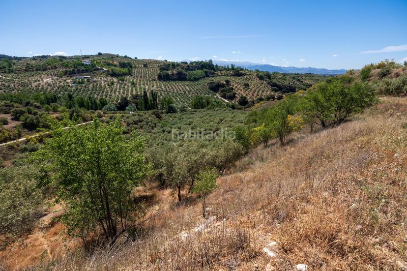 Foto d7a7be80-7403-4857-894c-446aa8b4b62b. Finca rústica a Víznar