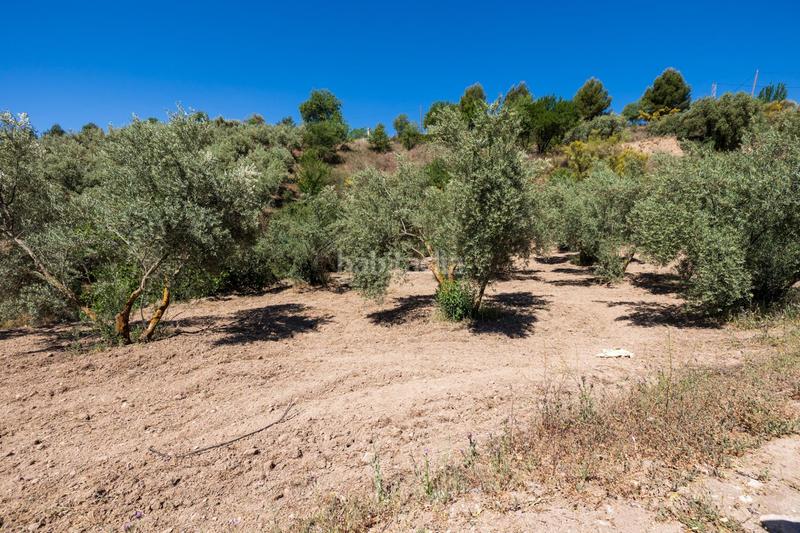 Foto dc721cb8-26e2-423b-a1da-b3ab93683752. Finca rústica a Víznar