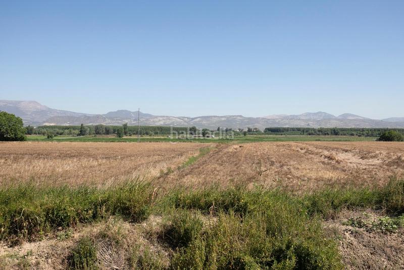 Foto 99aeb874-f5af-4f3c-8bd9-66917c376f8e. Fabrikhalle in Cijuela