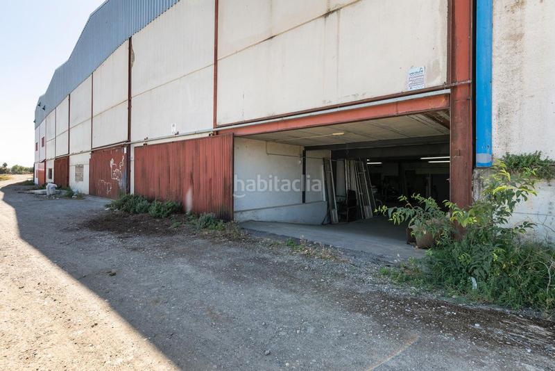 Foto fad8e73f-d502-4826-b980-92e547ae4379. Fabrikhalle in Cijuela