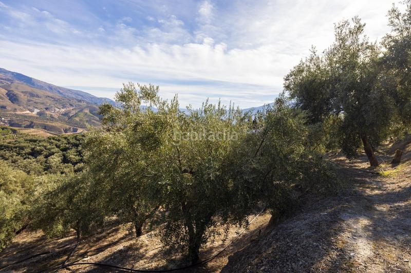 Foto 0431e393-44e1-4d89-bfcc-a58365de18b4. Finca rústica a Lecrín
