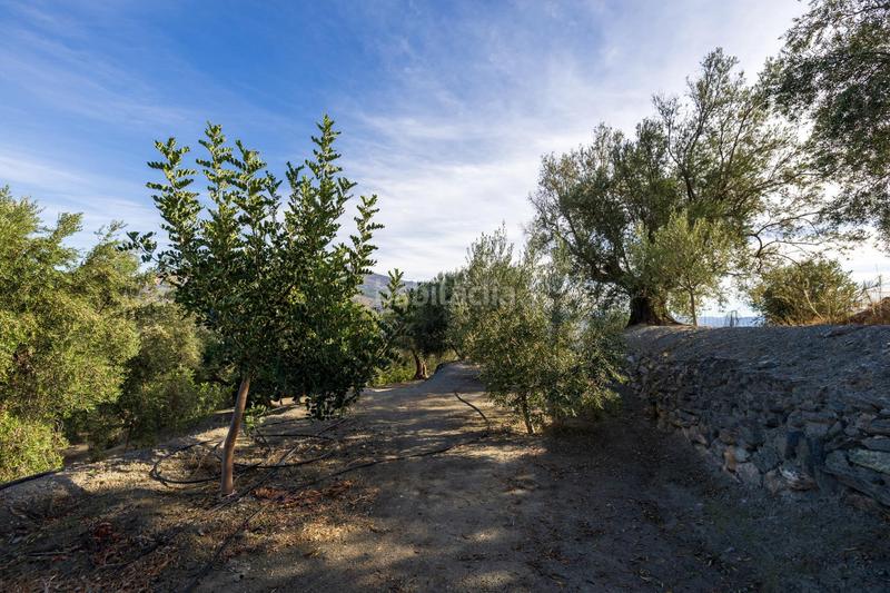 Foto 1c6bcf17-e214-4bfa-b91e-41920e9eb63f. Finca rústica a Lecrín