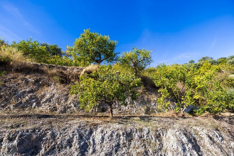 Foto 1c77f350-f6af-4cc3-9fc7-6b660ffcf277. Finca rústica a Lecrín