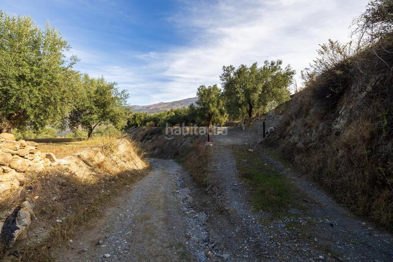 Foto 1ee38b94-aca7-4f8a-b1e8-cfcc06434199. Finca rústica a Lecrín