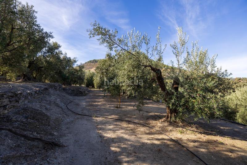 Foto 295ceaf1-3a79-43cf-bdbb-a03bc6558dd5. Finca rústica a Lecrín