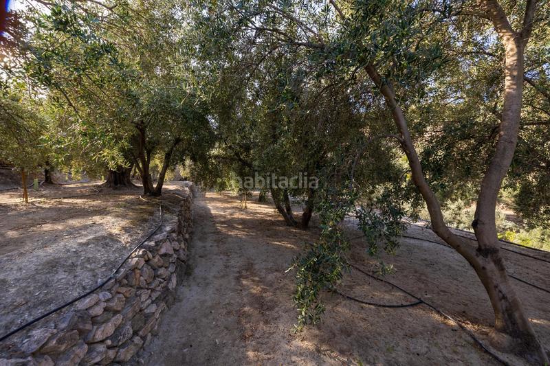 Foto 2d56308d-e948-4c3e-b92f-4bc018f6bf8d. Finca rústica a Lecrín