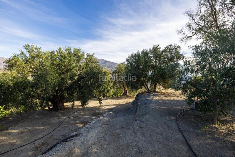 Foto 2ffbf3de-3114-4000-b174-45b8f32442aa. Finca rústica a Lecrín