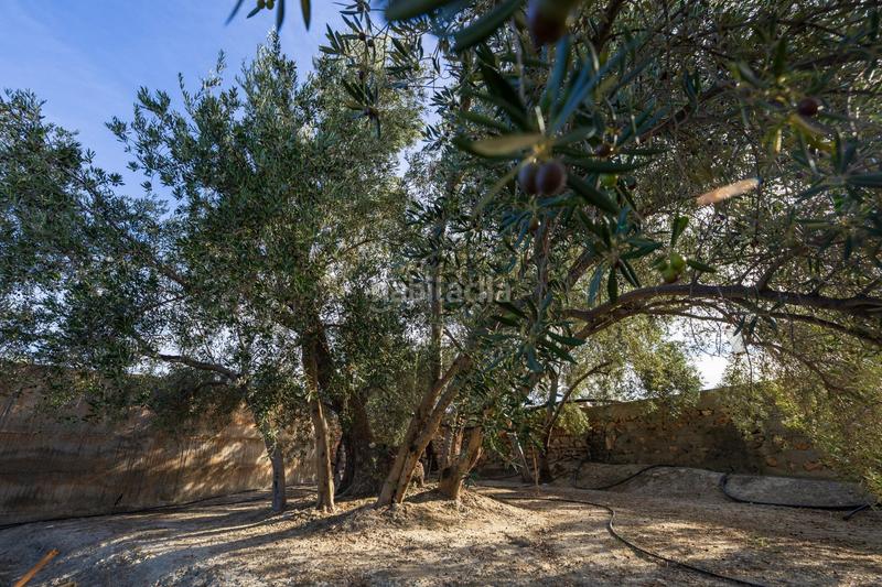 Foto 3e153dfa-2efc-4ba9-a2f4-e40789fd43d7. Finca rústica a Lecrín