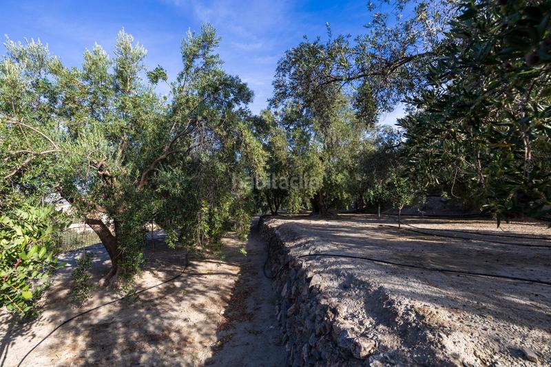 Foto 3fcbe5e9-8fe9-4a07-a4f8-774b87b442ae. Finca rústica a Lecrín