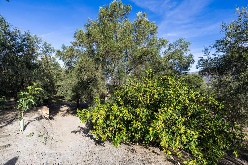 Foto 4129089e-78ef-4b6d-973a-ae50e4997d36. Finca rústica a Lecrín