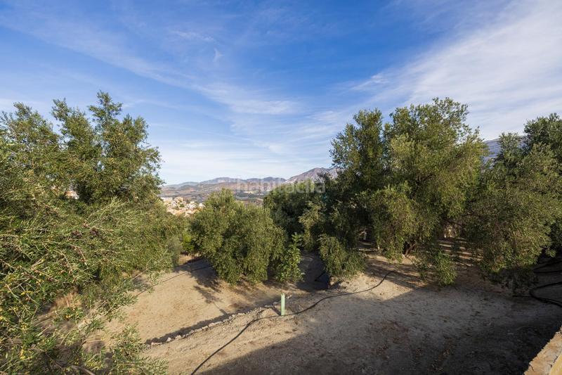 Foto 430754ee-5609-4963-89b9-b3f01d11c26f. Finca rústica a Lecrín