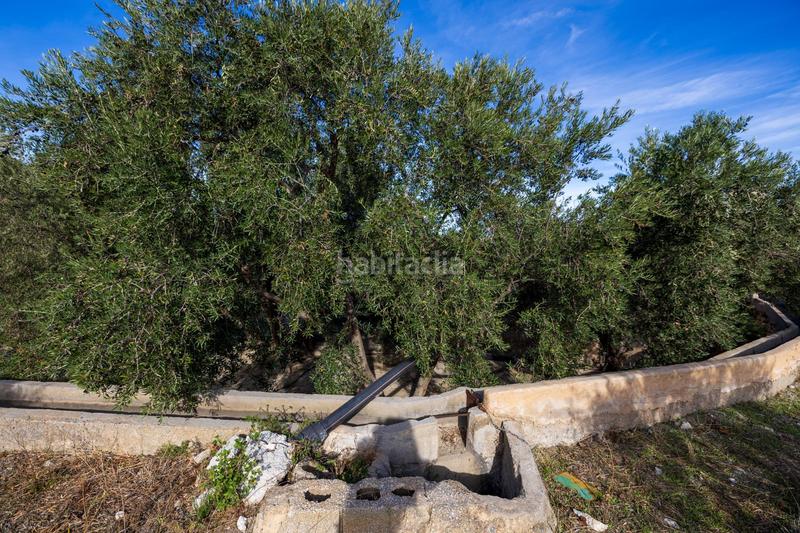 Foto 43a375e5-921f-493c-8614-c5de0857bc91. Finca rústica a Lecrín