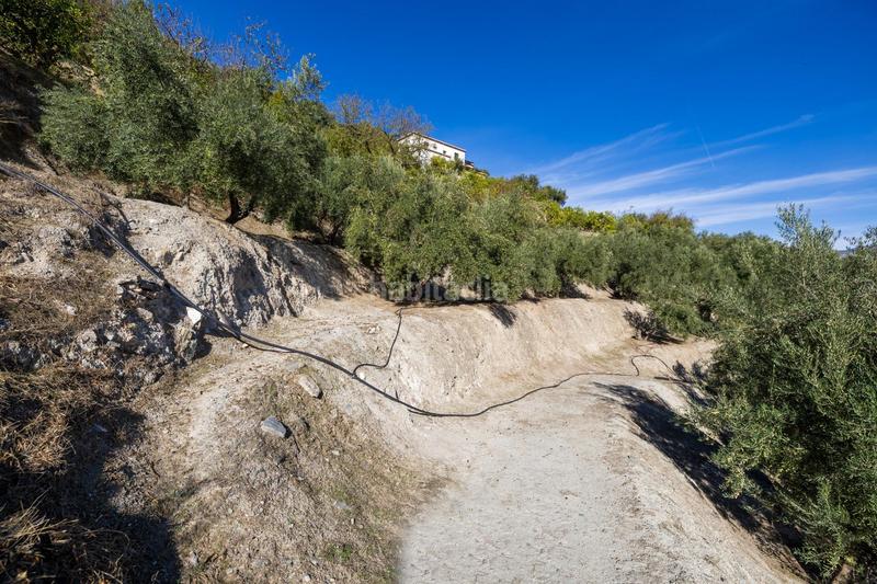 Foto 4a27c214-f08b-406f-a1dc-cb7221aabfa3. Finca rústica a Lecrín