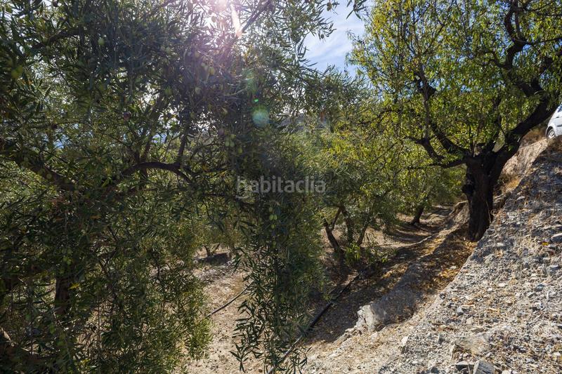 Foto 51827c8c-ae8e-435d-b979-475c51ffed45. Finca rústica a Lecrín