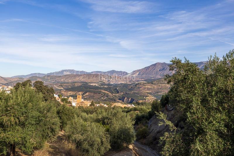 Foto 60ac932a-c8aa-41c7-8f96-6afbb67957ae. Finca rústica a Lecrín