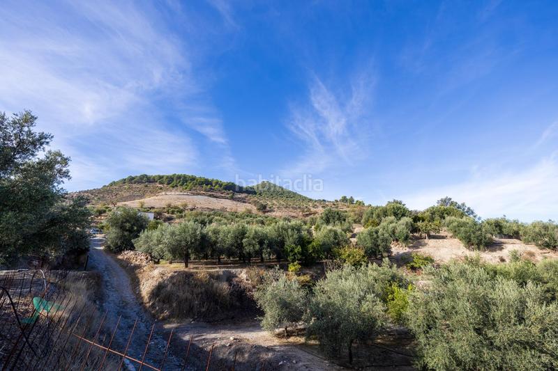 Foto 64a20cc1-1d5c-46bd-9443-d5111d338267. Finca rústica a Lecrín