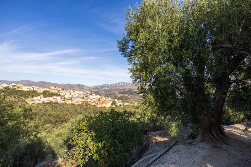 Foto 6605a476-101d-452b-832a-dc5364c64d3d. Finca rústica a Lecrín