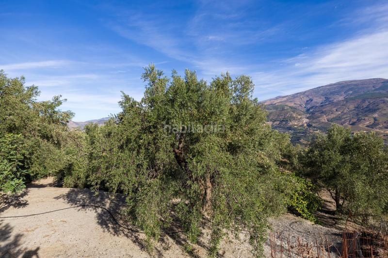 Foto 707237f8-c73a-4922-b3e5-5686a195f06d. Finca rústica a Lecrín