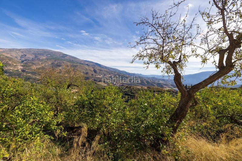 Foto 7549f92e-cc15-410b-97c3-479636ad3990. Finca rústica a Lecrín