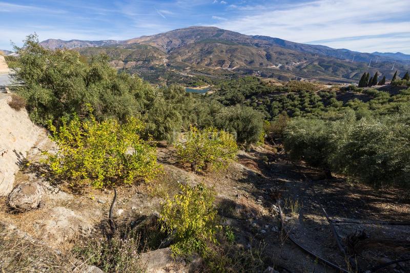 Foto 9031aa45-f25c-422d-8824-c33aeaf635fa. Finca rústica a Lecrín