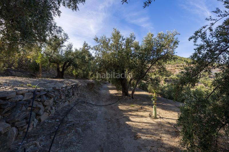 Foto 9eff5a00-1a86-45fb-8516-d4f805097741. Finca rústica a Lecrín