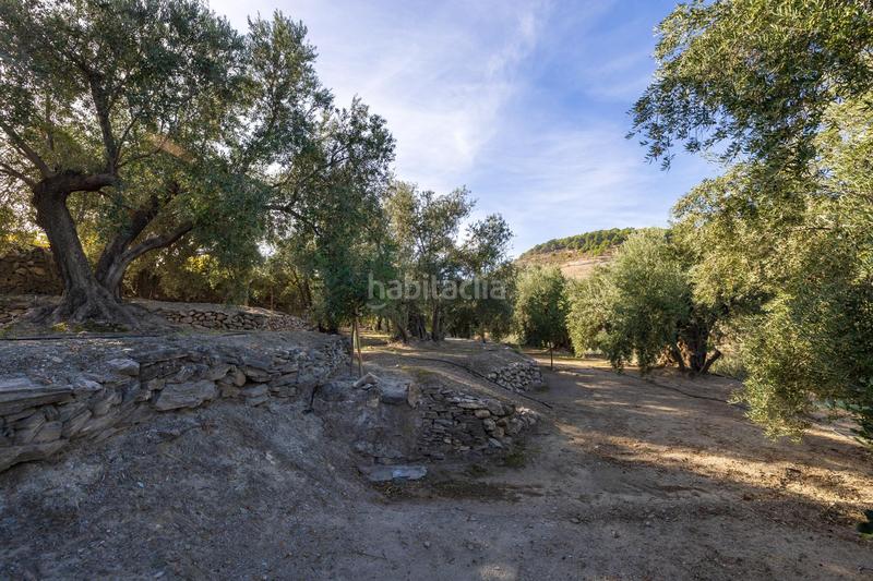 Foto a84808b7-7a16-42e1-9c1d-5a03b2147a73. Finca rústica a Lecrín