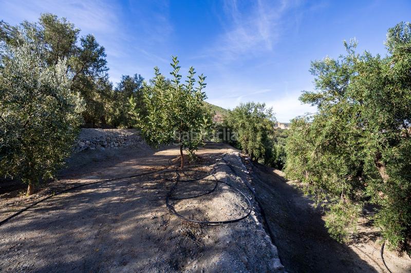 Foto a9932705-a5cc-4130-a169-b1d7d271b9fe. Finca rústica a Lecrín