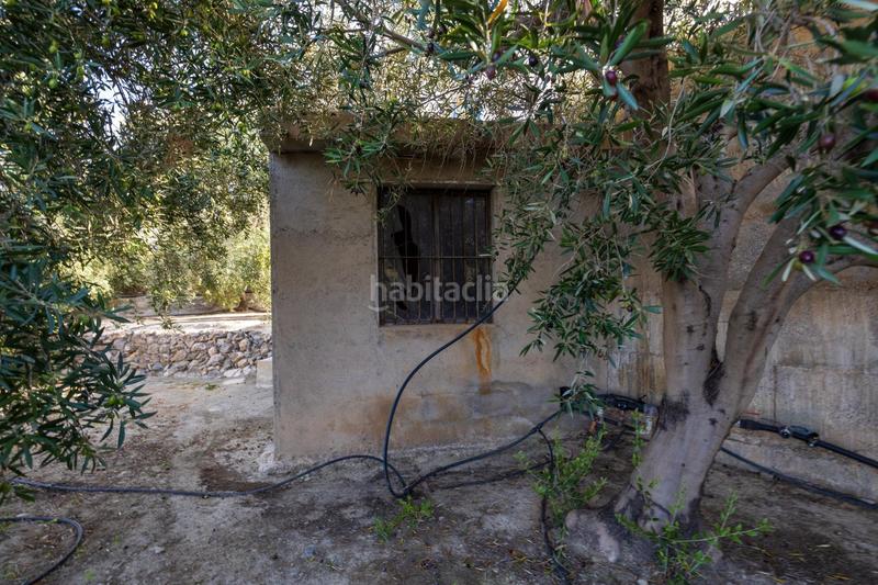 Foto b11eecfe-44cb-485f-8696-d2175dc6d7b1. Finca rústica a Lecrín