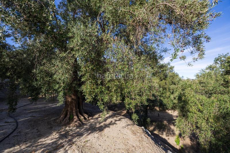 Foto d874fd53-9a0b-4277-8d7f-eaca3547f0cb. Finca rústica a Lecrín