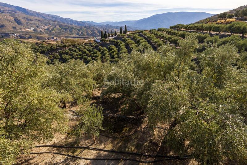 Foto dcdab077-d37b-4d06-ba03-14628f8e6205. Finca rústica a Lecrín