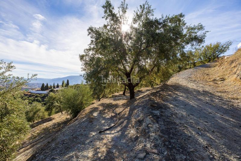 Foto ea16eab1-a9c1-4c15-b025-04cd1babd5bc. Finca rústica a Lecrín